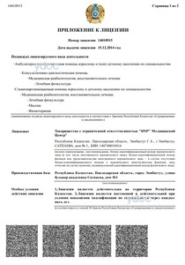 Приложение к лицензии