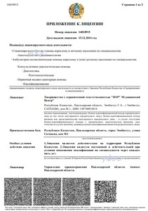 Приложение к лицензии