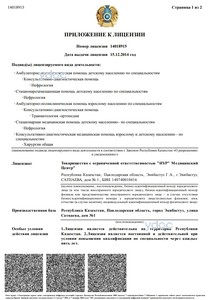 Приложение к лицензии