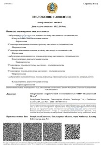 Приложение к лицензии