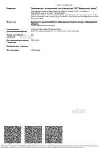 Приложение к лицензии