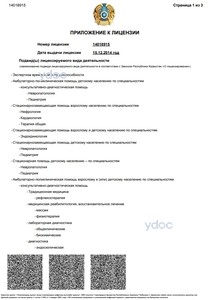 Приложение к лицензии