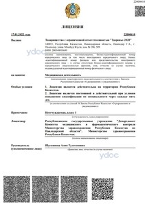 Лицензия Лицензия