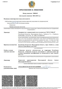 Приложение к лицензии