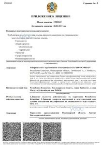 Приложение к лицензии