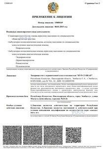 Приложение к лицензии