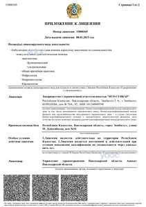 Приложение к лицензии