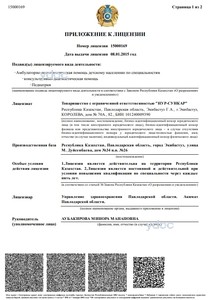 Приложение к лицензии