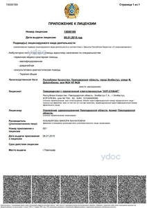 Приложение к лицензии