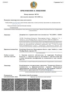 Приложение к лицензии