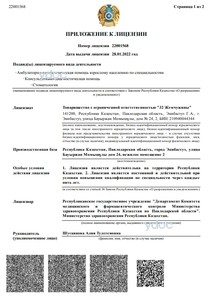 Приложение к лицензии