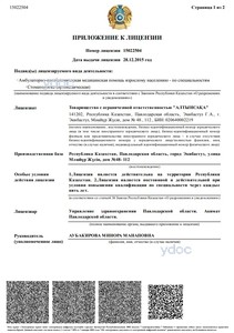 Лицензия Лицензия