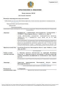 Лицензия Лицензия