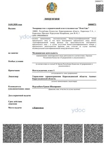 Лицензия Лицензия