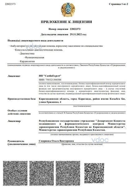 Лицензия Лицензия