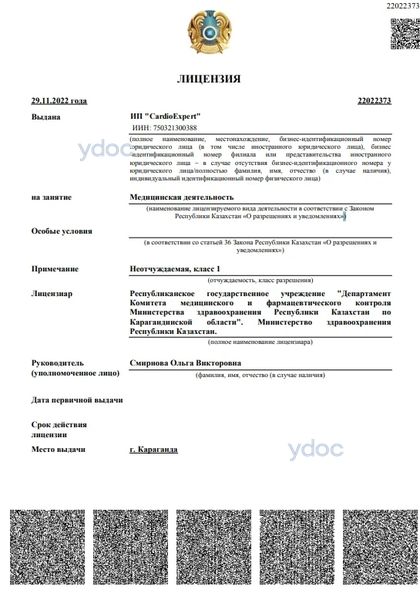 Лицензия Лицензия