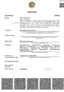 Лицензия Лицензия