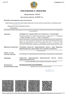 Приложение к лицензии