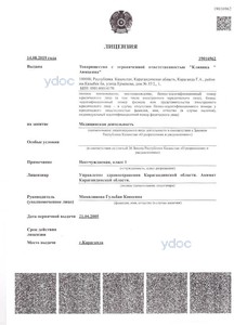 Лицензия Лицензия