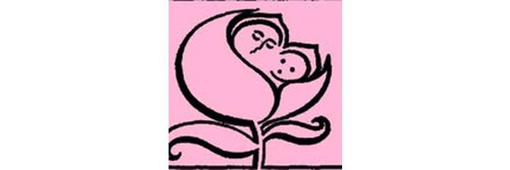 «Акушерско-гинекологический центр», Караганда «Акушерско-гинекологический центр», Караганда - фото