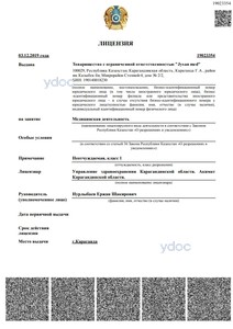 Лицензия Лицензия