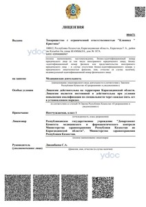 Лицензия Лицензия