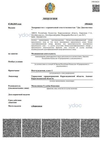 Лицензия Лицензия