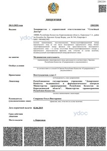 Лицензия Лицензия