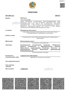 Лицензия Лицензия