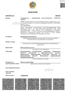 Лицензия Лицензия