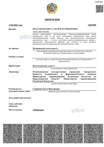 Лицензия Лицензия