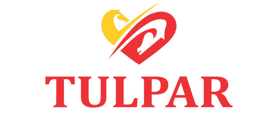 Реабилитационный центр «Tulpar» (Тулпар), Караганда - фото