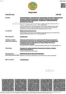 Лицензия Лицензия