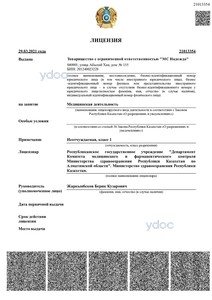 Лицензия Лицензия