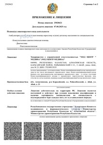 Лицензия Лицензия