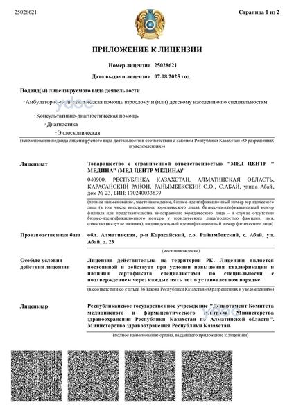 Лицензия Лицензия