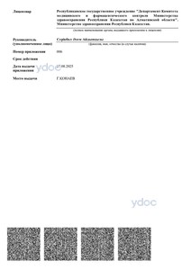 Лицензия Лицензия