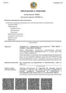 Лицензия Лицензия