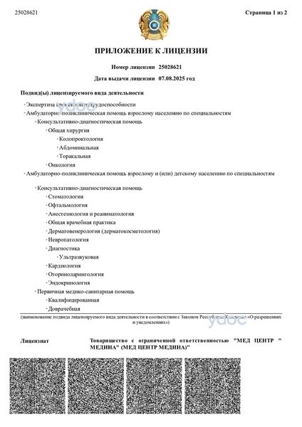 Лицензия Лицензия