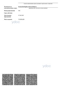 Лицензия Лицензия