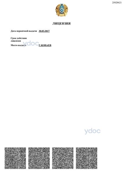 Лицензия Лицензия