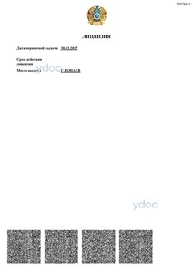 Лицензия Лицензия