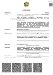 Лицензия Лицензия