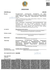 Лицензия Лицензия