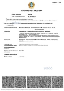 Лицензия Лицензия