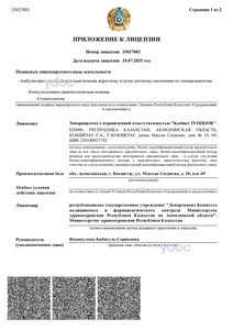 Приложение к лицензии Приложение к лицензии
