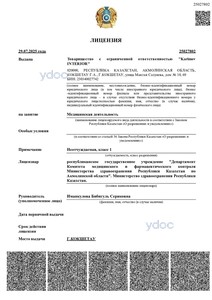 Лицензия Лицензия