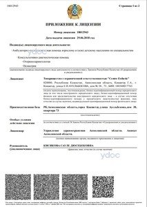 Лицензия Лицензия