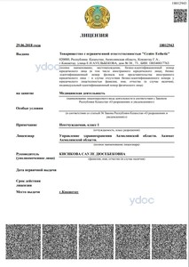 Лицензия Лицензия