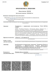 Лицензия Лицензия